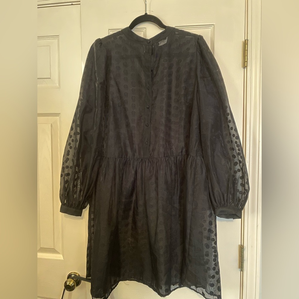 Sheer black polka dot dress